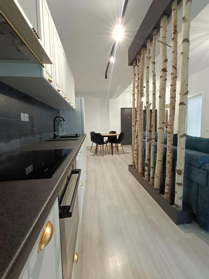 Apartament Cochet Cu Design Modern Apartamento Floreşti Exterior foto